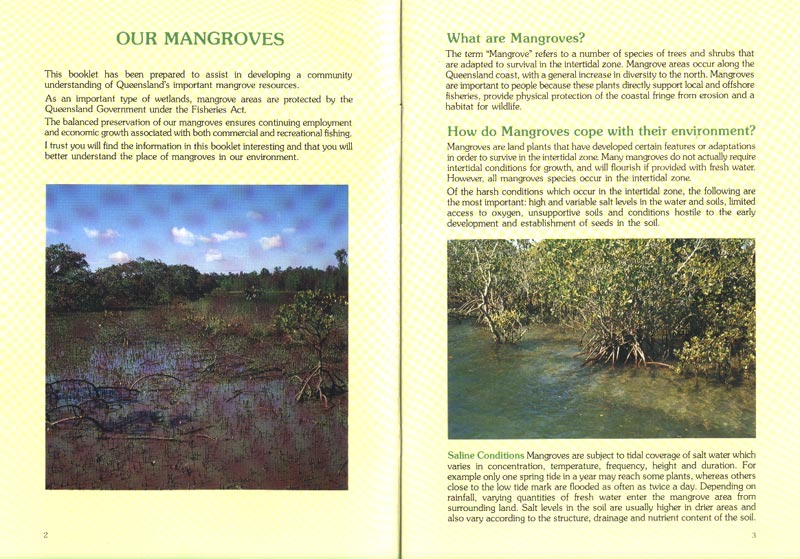 Our Mangroves - aus dem Buch
